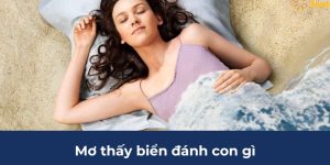 Mơ Thấy Biển Đánh Con Gì Cho May Mắn Giải Mã Cùng 88CLB