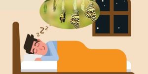 Mơ Thấy Bướm Đánh Con Gì? Giải Mã Giấc Mộng Cùng 88CLB
